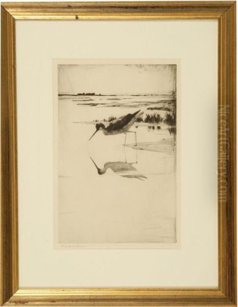 A Lone Yellowlegs - view 1