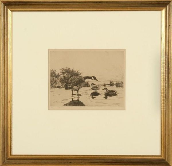 A Lone Goose With Two Teal - view 1