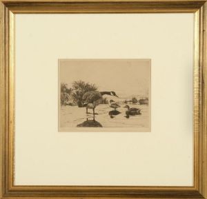A Lone Goose With Two Teal