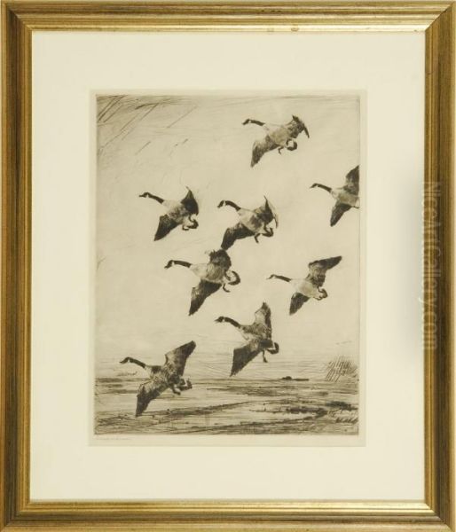 Hovering Geese - view 1