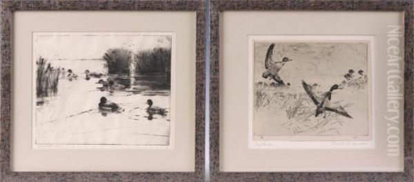 Untitled - view 1
