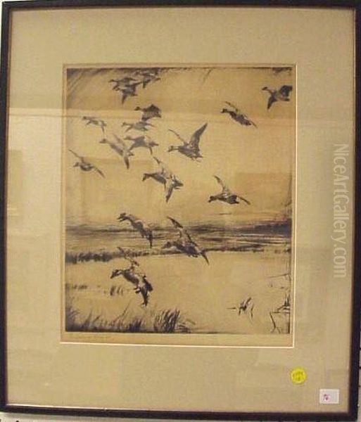 Ducks In Flight - view 1
