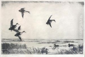 In Flight In Flight