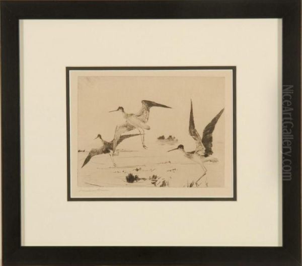 Three Yellowlegs - view 1