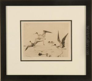 Three Yellowlegs by Frank Weston Benson