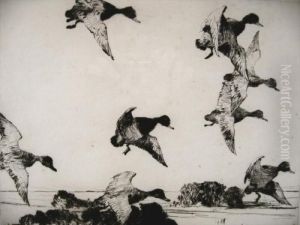 Ducks