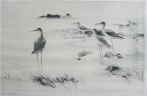 Winter Yellowlegs by Frank Weston Benson