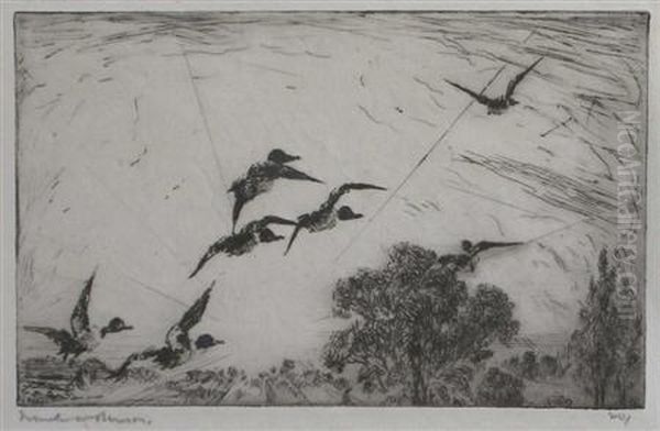 Over The Tree Tops - view 1