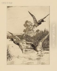 Startled Ducks by Frank Weston Benson