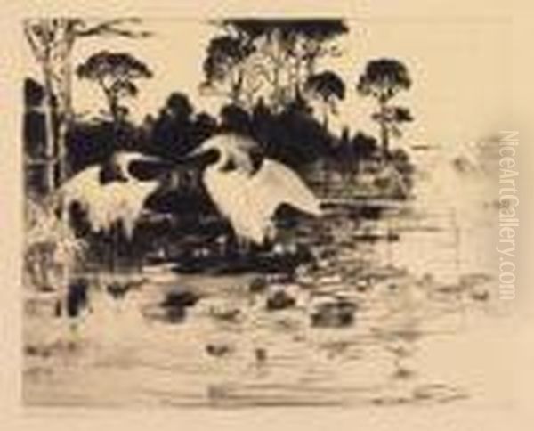 Water Lilies - view 1