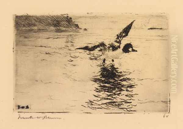 Male Whistler - view 1