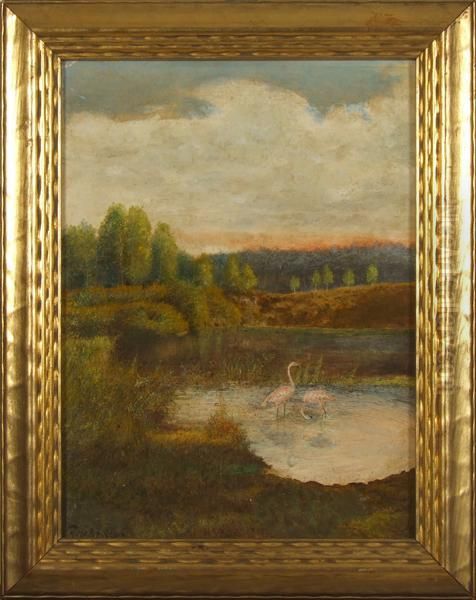 Flamingos In Pond - view 1