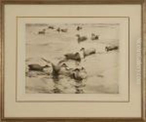 Depicting Ducks Inflight. by Frank Weston Benson