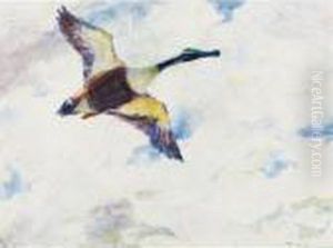 Shoveller Drake In Flight by Frank Weston Benson