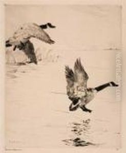 Geese Alighting by Frank Weston Benson