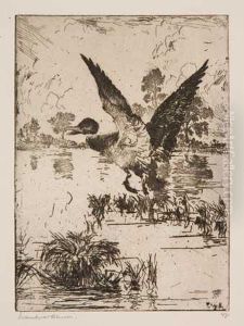 Mallard Rising by Frank Weston Benson