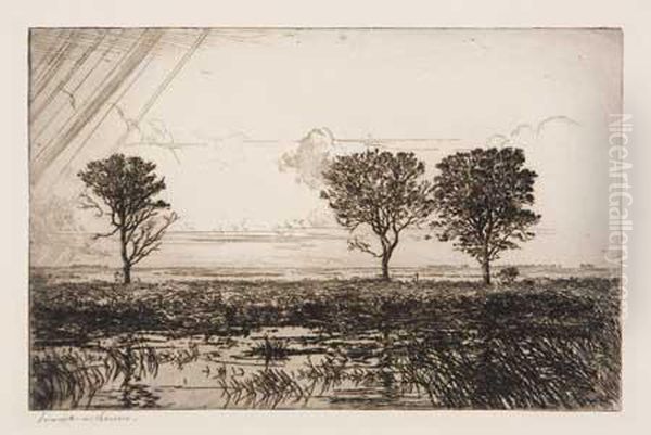 Marshes Of Long Point - view 1