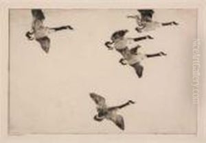 Geese