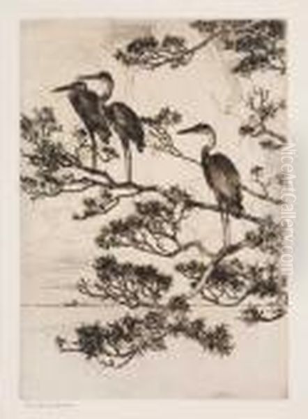 Herons In A Pine Tree - view 1