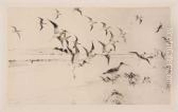 Yellowlegs Alighting - view 1