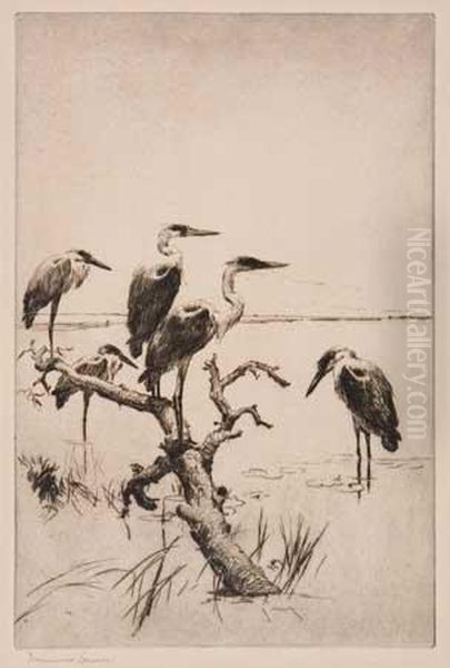 Herons At Rest - view 1