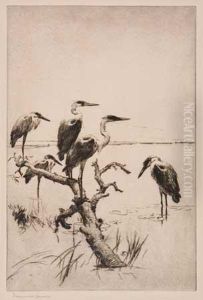 Herons At Rest by Frank Weston Benson