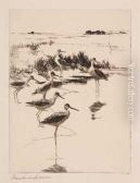 Yellowlegs No. 3 - view 1