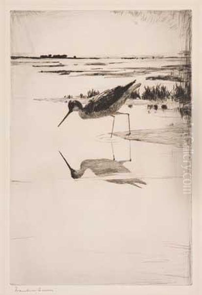Lone Yellowlegs - view 1