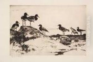 Turnstones Turnstones
