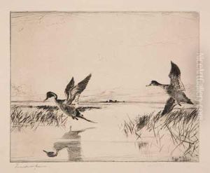 Pair Of Pintails by Frank Weston Benson