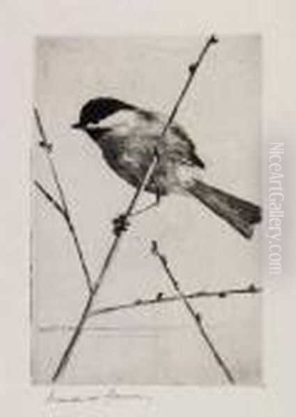 Chickadee - view 1