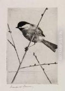 Chickadee by Frank Weston Benson