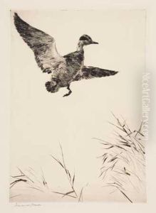 Springing Teal by Frank Weston Benson
