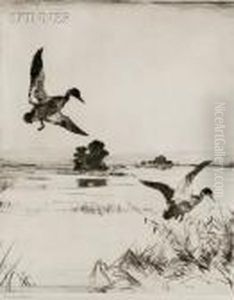 Two Black Ducks by Frank Weston Benson