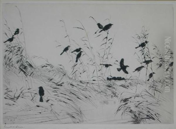 Blackbirds In The Marshes - view 1