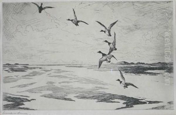 The Wide Marshes - view 1