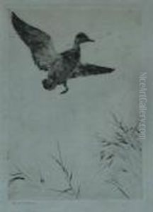 Springing Teal Etching by Frank Weston Benson