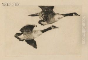 Study Of Geese by Frank Weston Benson