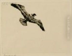 Soaring Fish Hawk by Frank Weston Benson