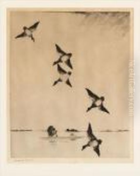 On Swift Wings - view 1