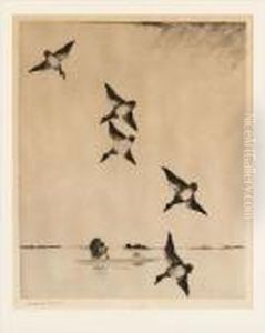 On Swift Wings