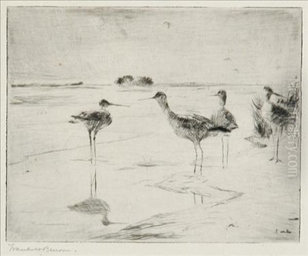 Yellowlegs - view 1
