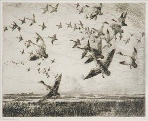 Morning Flight