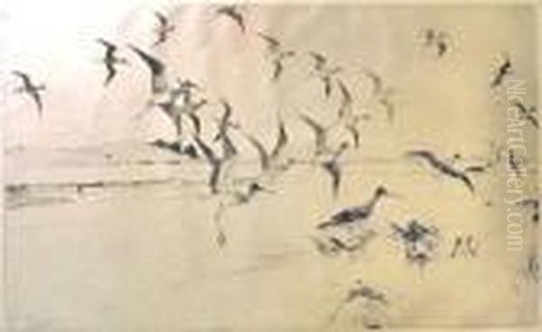 Yellow Legs Alighting - view 1