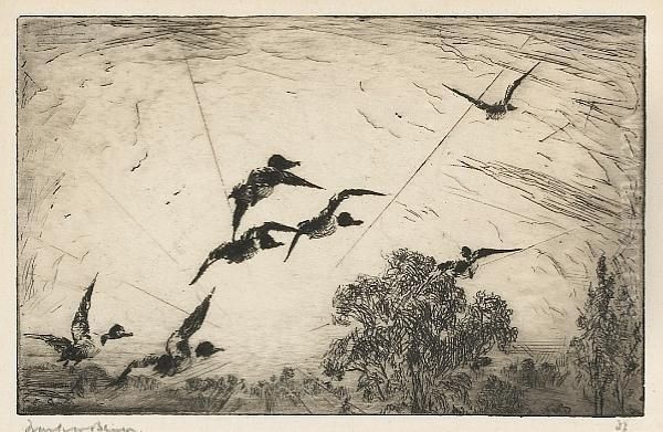 Over The Tree Tops; Incoming Geese - view 1