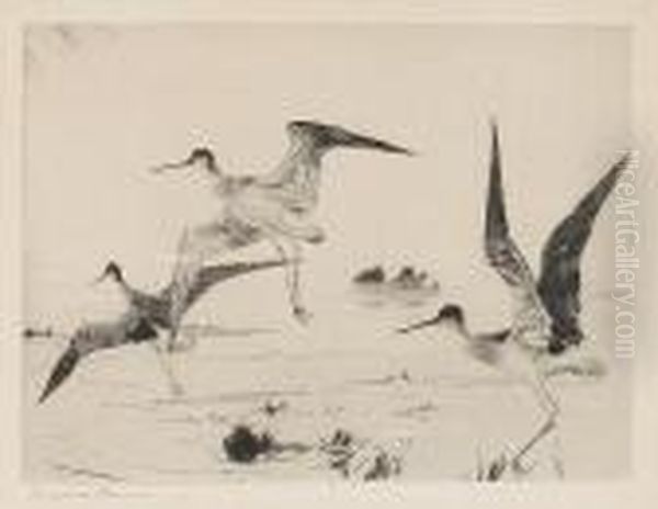 Three Yellowlegs - view 1
