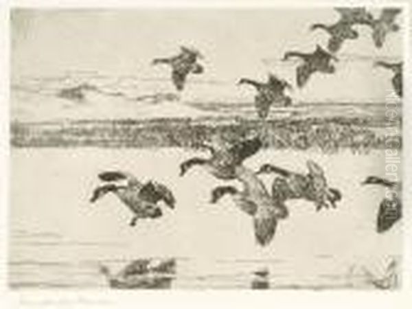 Tired Geese - view 1
