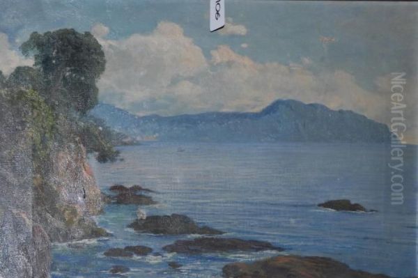 Veduta Della Costa Ligure, Cm 40x63, Firmato In Basso A Destra - view 1