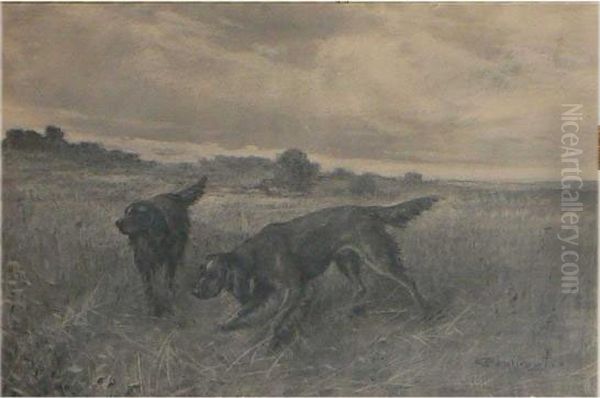 Setter Nella Campagna - view 1