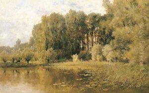 Laguna 2